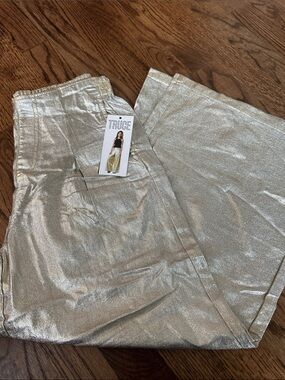 Truce Kids Silver Metallic Formal Pants - Girls